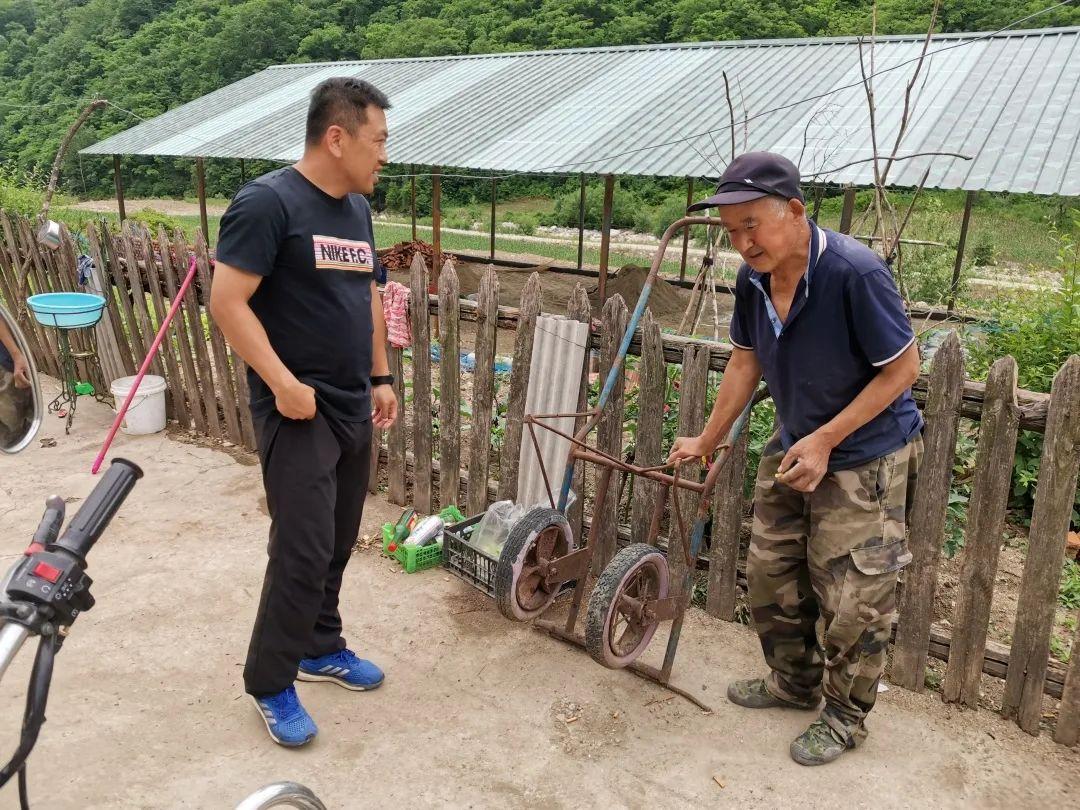 松树村发展规划揭秘，走向繁荣与和谐共生之路