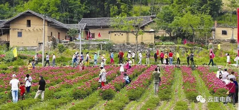 冲当村新项目启动，乡村振兴新篇章开启