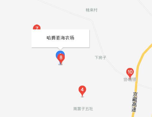 哈腾套海农场新项目引领农业现代化新篇章