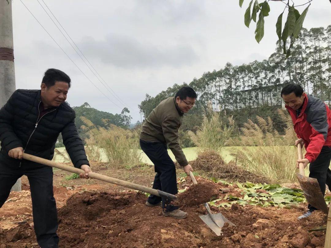 梧州市劳动和社会保障局新项目助力劳动保障事业迈上新台阶