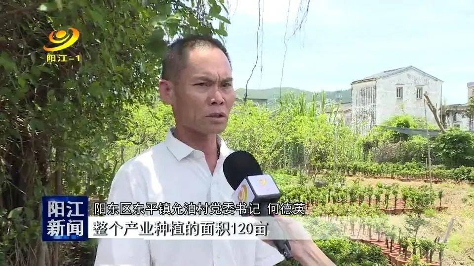 允捧村新任领导引领繁荣新篇章