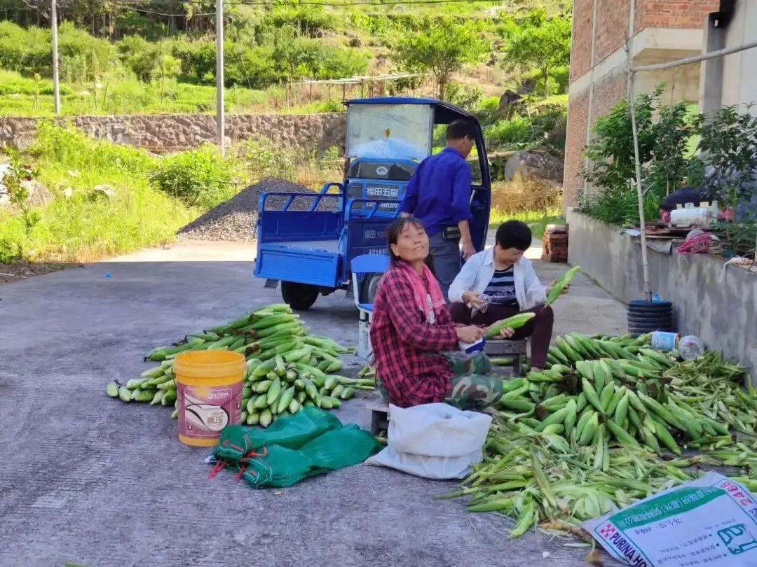 闽清县市场监督管理局最新战略规划揭秘